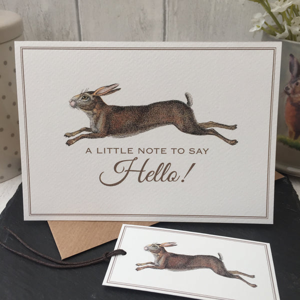 Set of 6 'Hello' Hare Notecards