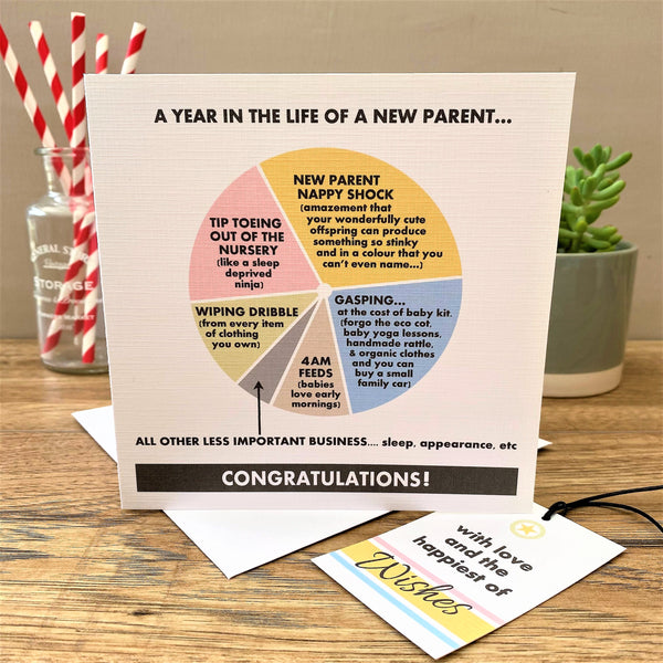 6 Pie Chart Cards for £12